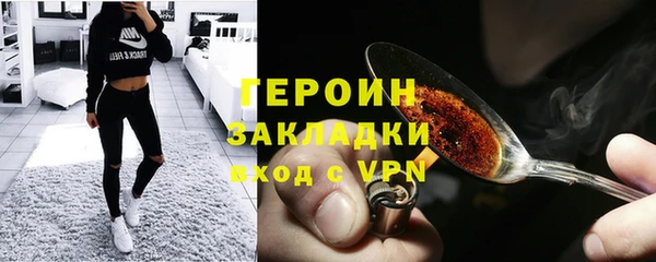 сатива Новодвинск