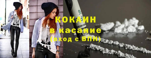 сатива Новодвинск