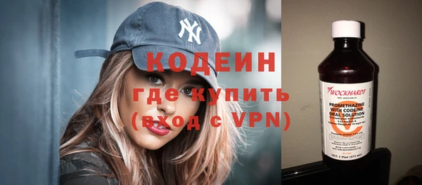 сатива Новодвинск