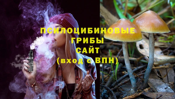дмт Няндома