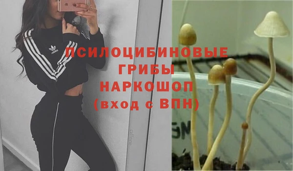 каннабис Нягань