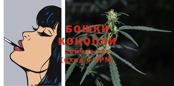 дмт Няндома