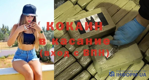 сатива Новодвинск
