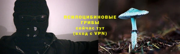 MDMA Premium VHQ Новокубанск