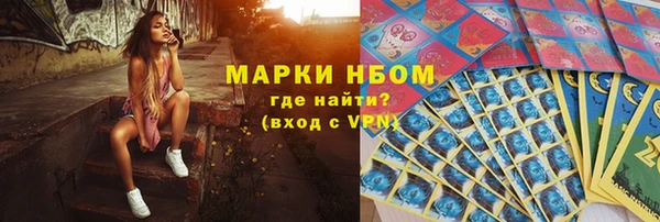 сатива Новодвинск