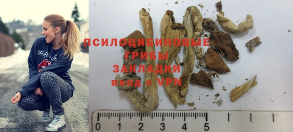 дживик Новозыбков