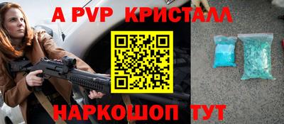 индика Камышлов