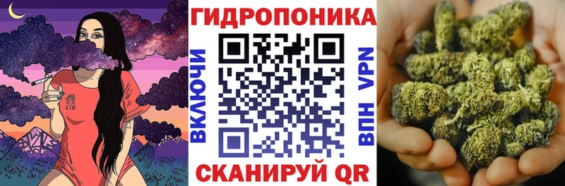 МАРИХУАНА ГИДРОПОН  купить наркоту  Знаменск 