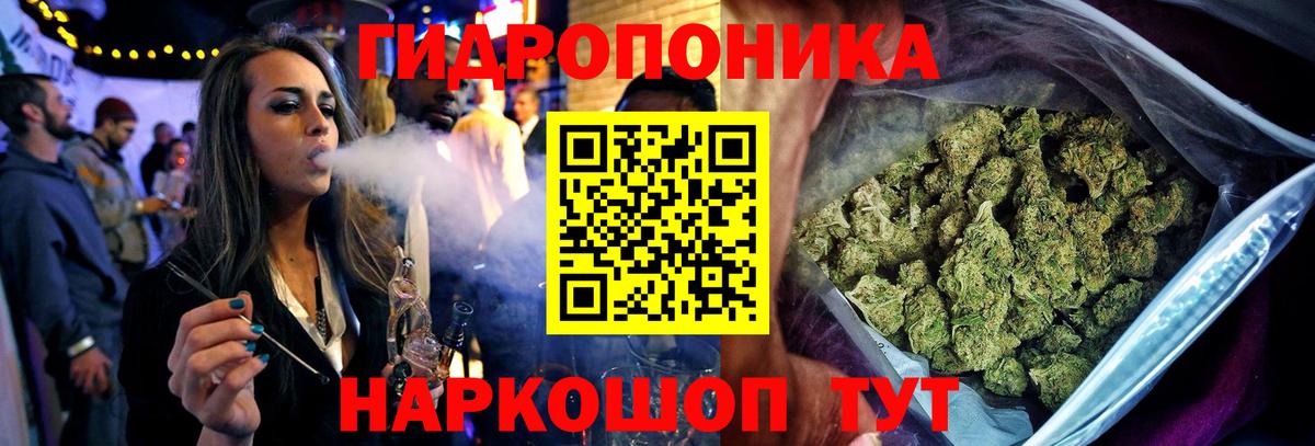Бошки Шишки LSD WEED  МАРИХУАНА планчик  Знаменск  Вход с VPN  Канабис план 